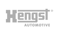 Hengst Hengst